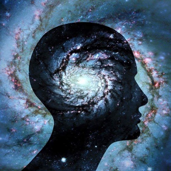 Does consciousness transcend the human brain?